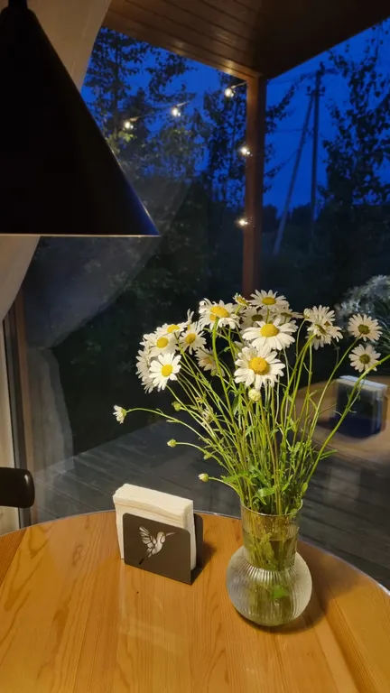 Коттедж Новый коттедж. Сауна и виды на природу-бесплатно — Санкт-Петербург