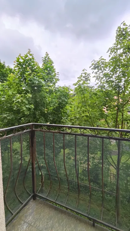 Квартира Апартаменты с видом на лес — Калининград