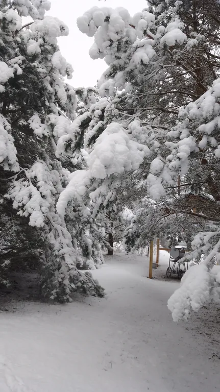 Коттедж Таунхаус Хитрый Лис — аренда посуточно в Печоры