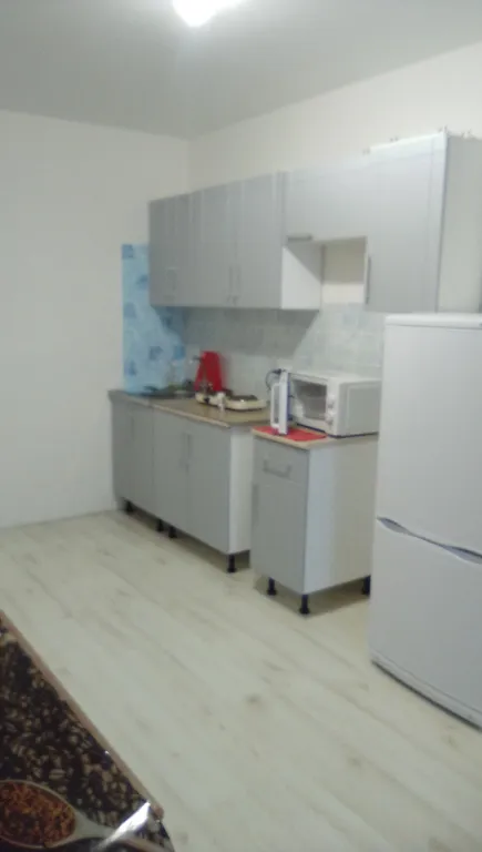 1-комнатная Квартира — аренда посуточно в Новогорелово