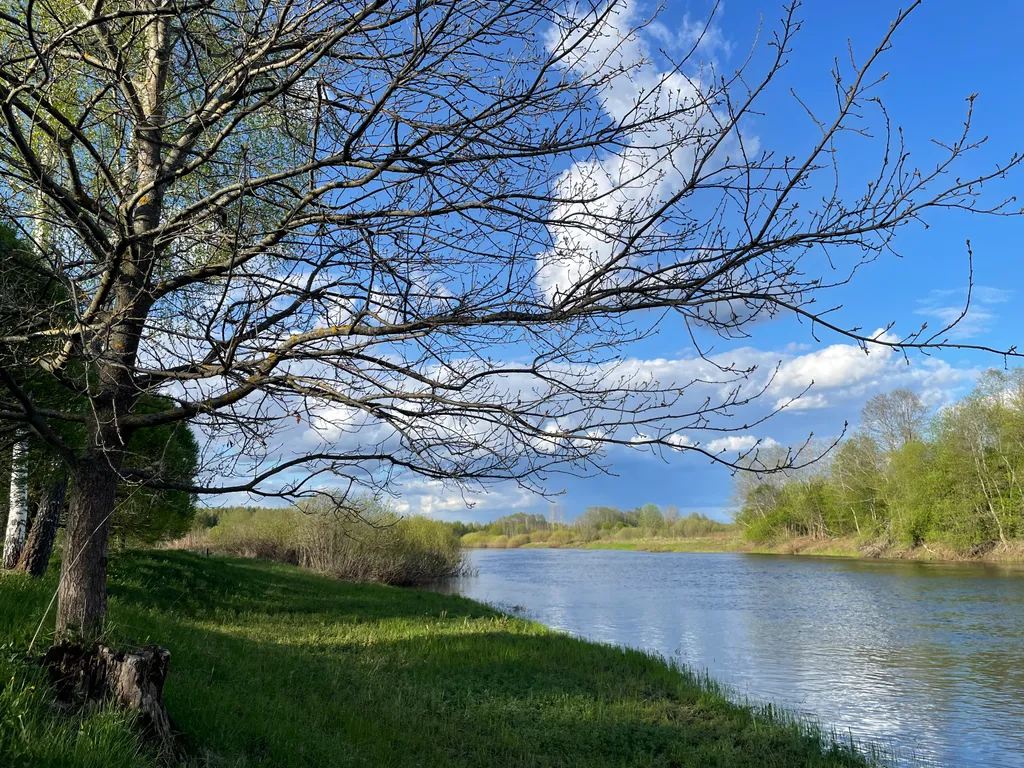 Уютный домик с панорамным остеклением недалеко от Пушкинских гор