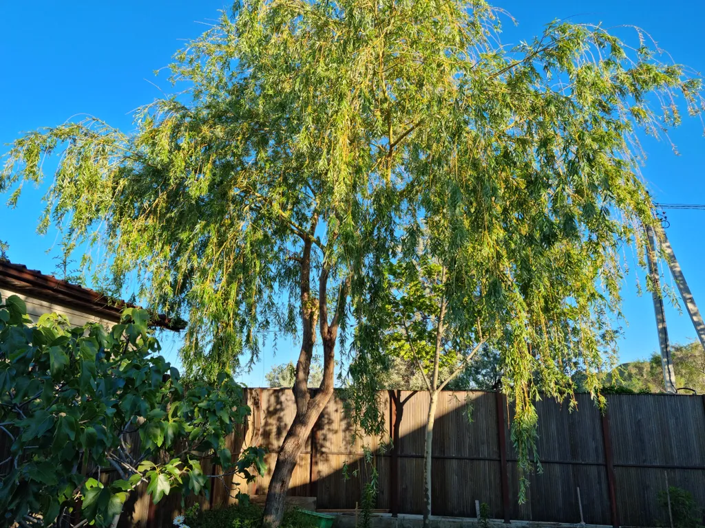 Уютный дом у моря