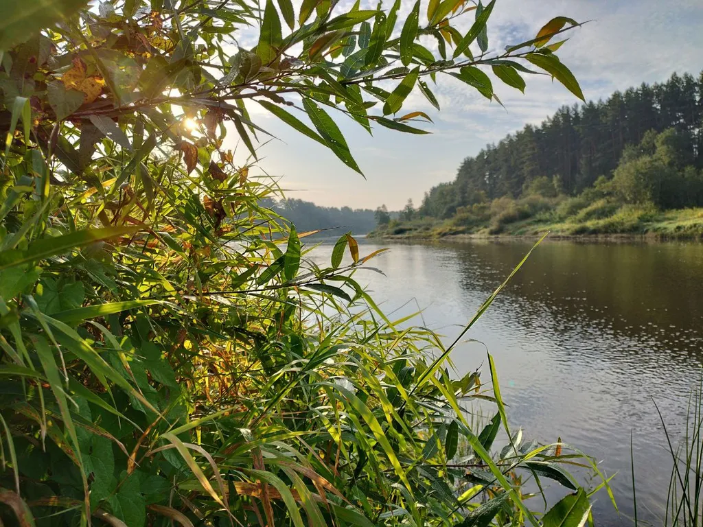 Коттедж 4-комнатный Дом — Тверецкий