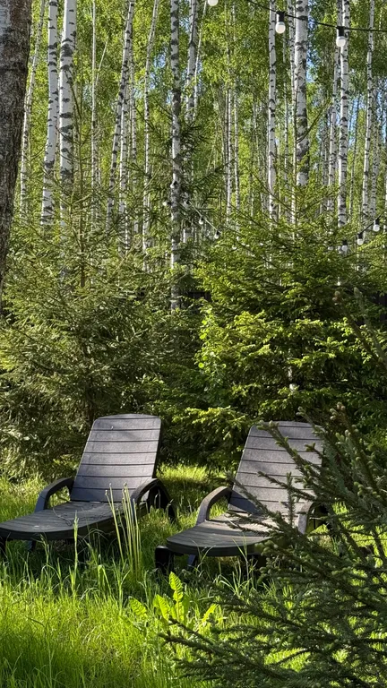 Коттедж Панорамный дом в окружении леса с сауной и чаном — Семеновское