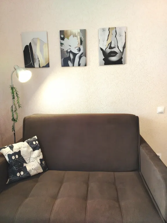 Уютная однокомнатная квартира