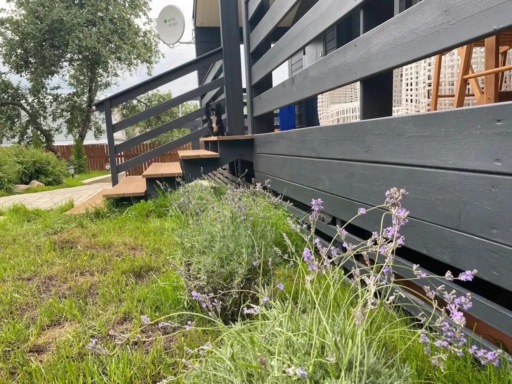 Dream House Soroсhanу