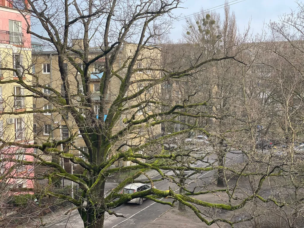 Квартира Уютная квартира в центре — Калининград