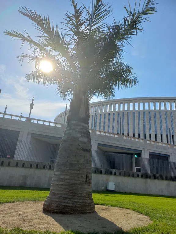 Квартира Уютная, чистая квартира у парка Галицкого и стадиона Краснодар — Краснодар