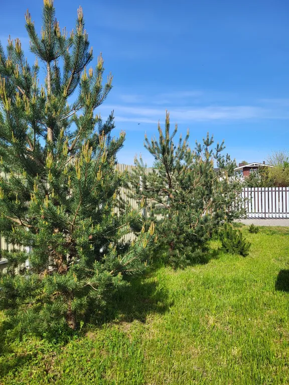 Дом на побережье Балтики