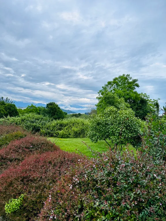 Дизайнерские апартаменты с террасой и бассейном