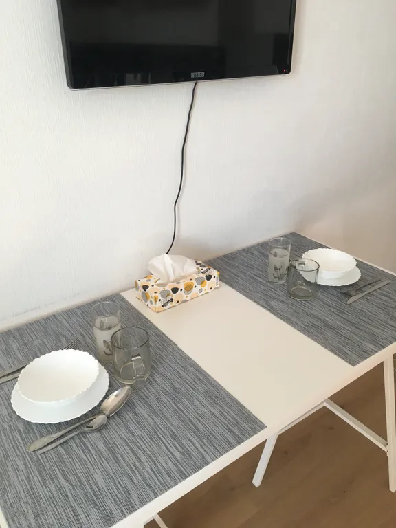 Квартира Квартира Студия Песочный рядом с НИИ им. Петрова, Гранова — Песочный