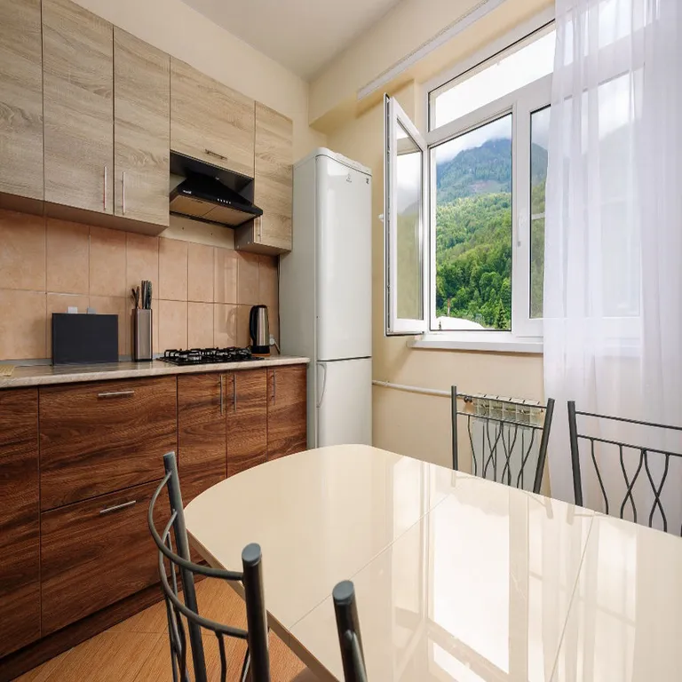 Однокомнатная квартира в центре с видом на горы