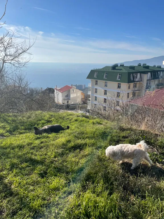 Квартира с видом на море