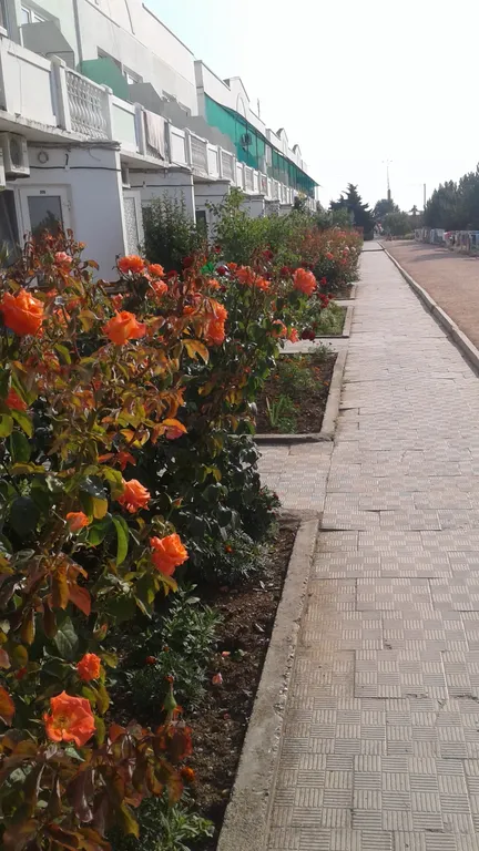 Квартира Комната — Любимовка