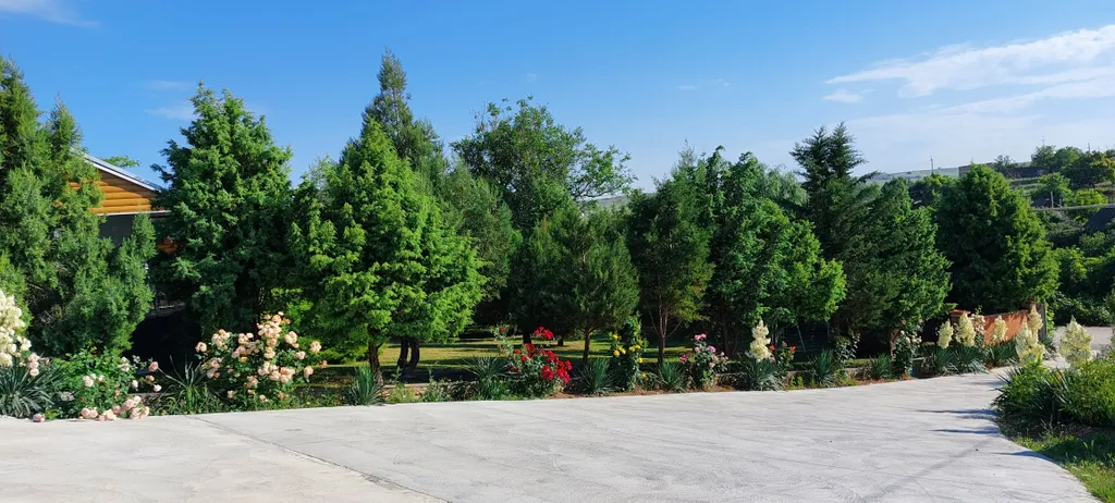 Коттедж Дом 3 спальни, большой двор беседка мангал усадьба Можжевеловый дворик — Айвовое