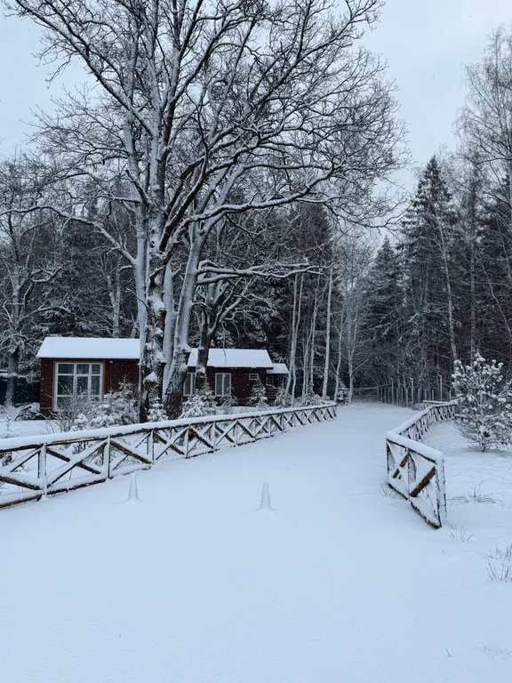 Домик у леса