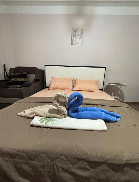 Уютная квартира в центре города