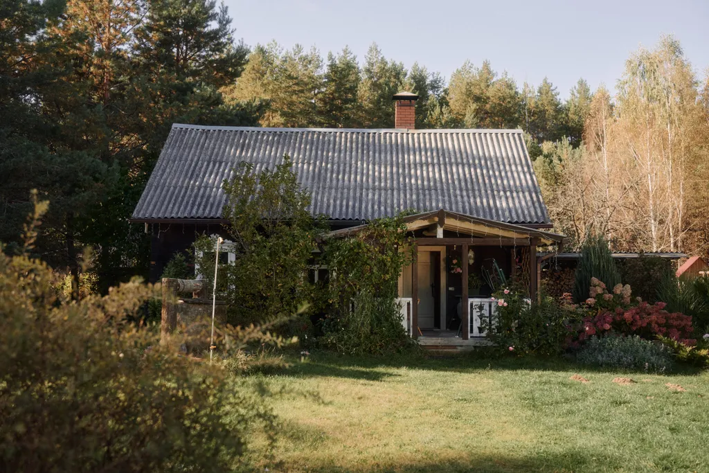 Хутор в лесу Розовый шмель