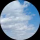 Ольга