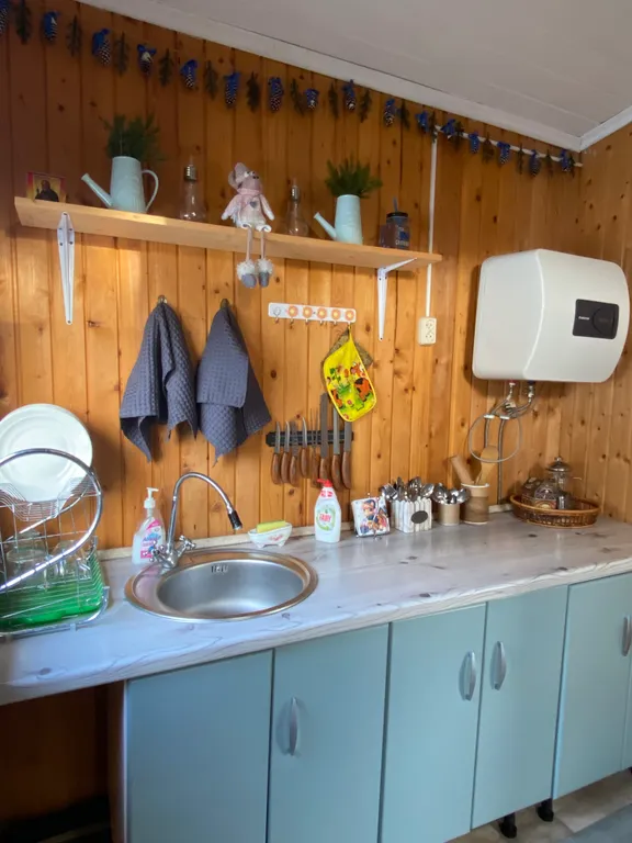 Дом и баня на участке 40 соток