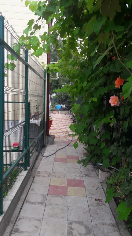 Квартира Квартира Тихий уголок — Сириус