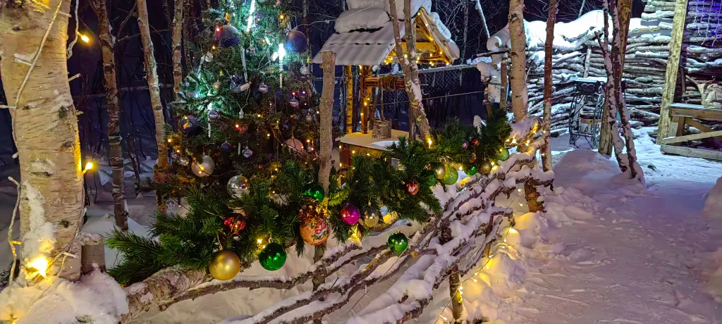 Дом у Светланы Алешиной