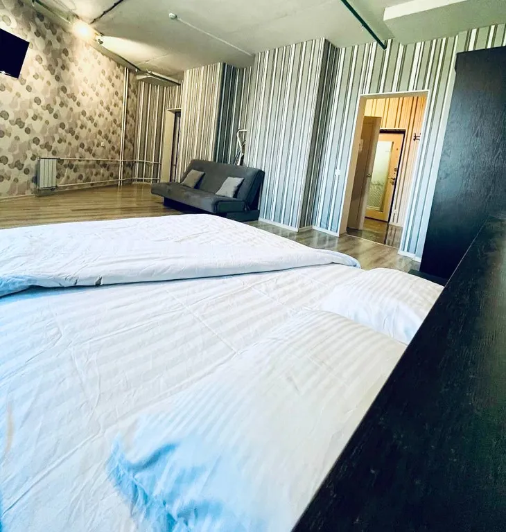 Просторный семейный апартамент