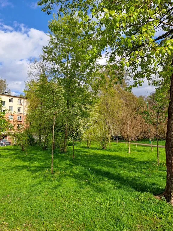 Квартира Уютная квартира рядом с аэропортом Пулково — Санкт-Петербург