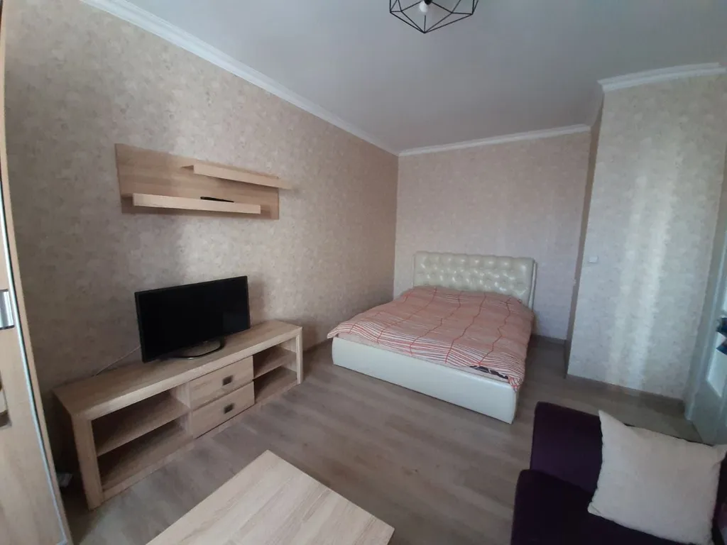 Аккуратная однокомнатная квартира в центре с кондиционером — аренда посуточно в Минск