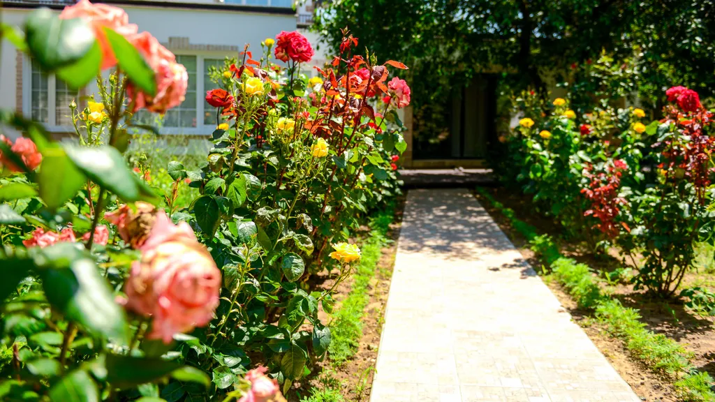 Коттедж 3-комнатный Дом — Кучугуры