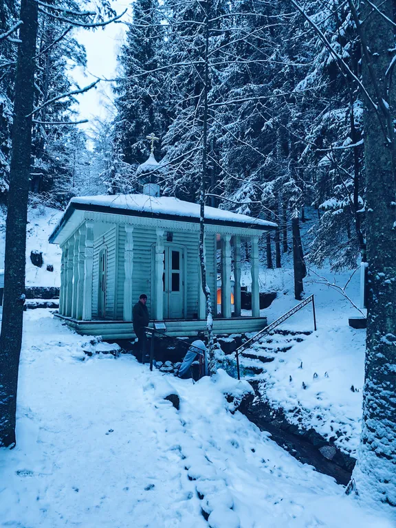 Коттедж Уютный дом с панорамным видом на лес — Луга