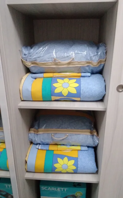 Квартира 1-комнатная Квартира — Светлогорск