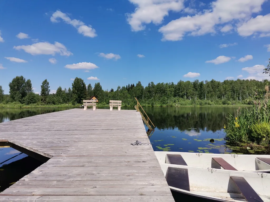 Большой дом на Валдае