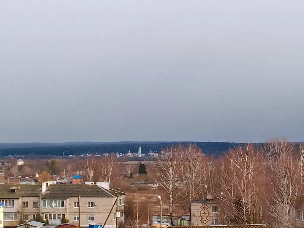 Квартира с камином и видом на Оптину пустынь