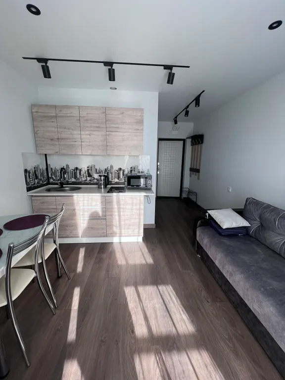 Квартира Квартира Студия в Олимпийском парке — Сириус