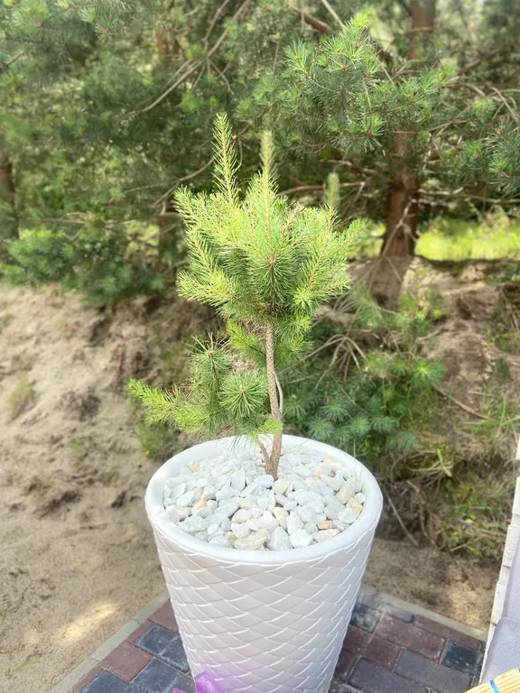 Барн хаус на Берегу моря