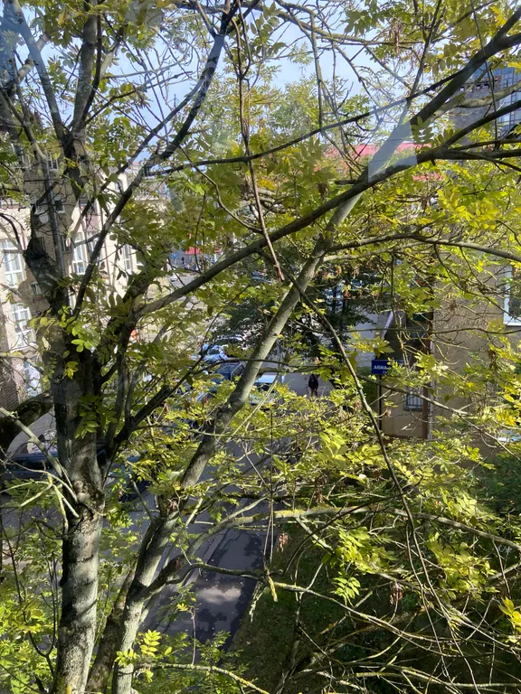 Квартира Уютная квартира в центре города — Калининград