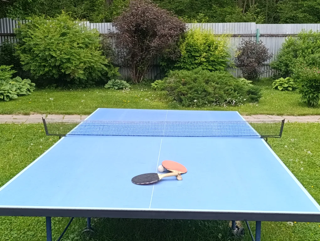 Дом на лесной опушке с банeй на дpовax и бильярдом