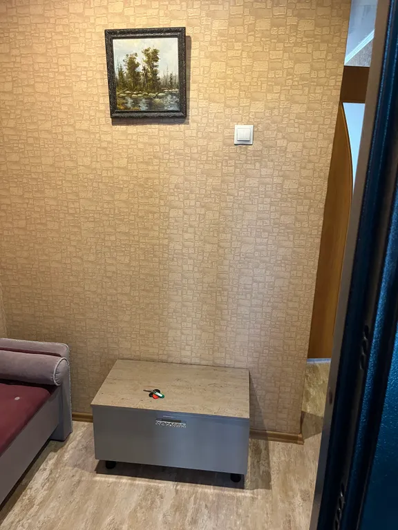 Уютная однокомнатная квартира в центре города