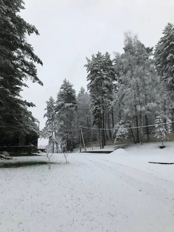 Усадьба в Антроповке