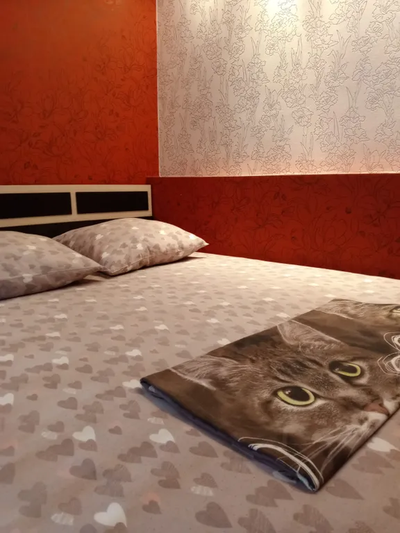 Уютная однокомнатная квартира в центре города — аренда посуточно в Йошкар-Ола