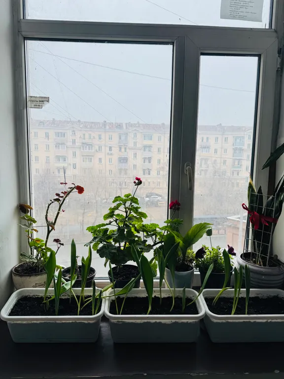 Уютная студия на площади Луговая