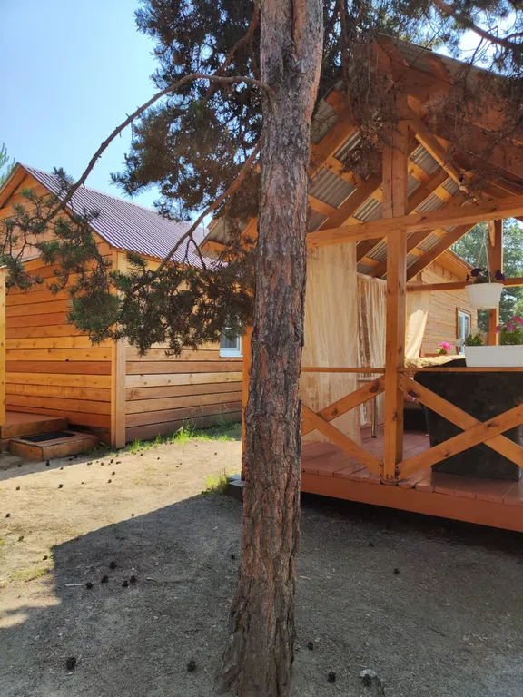 Комфортный сосновый дом