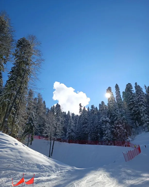 Квартира Двухкомнатная квартира недалеко от моря, рынка, океанариума и дельфинария — Адлер