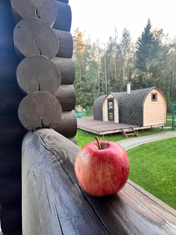 Коттедж Хаски дом — Разметелево