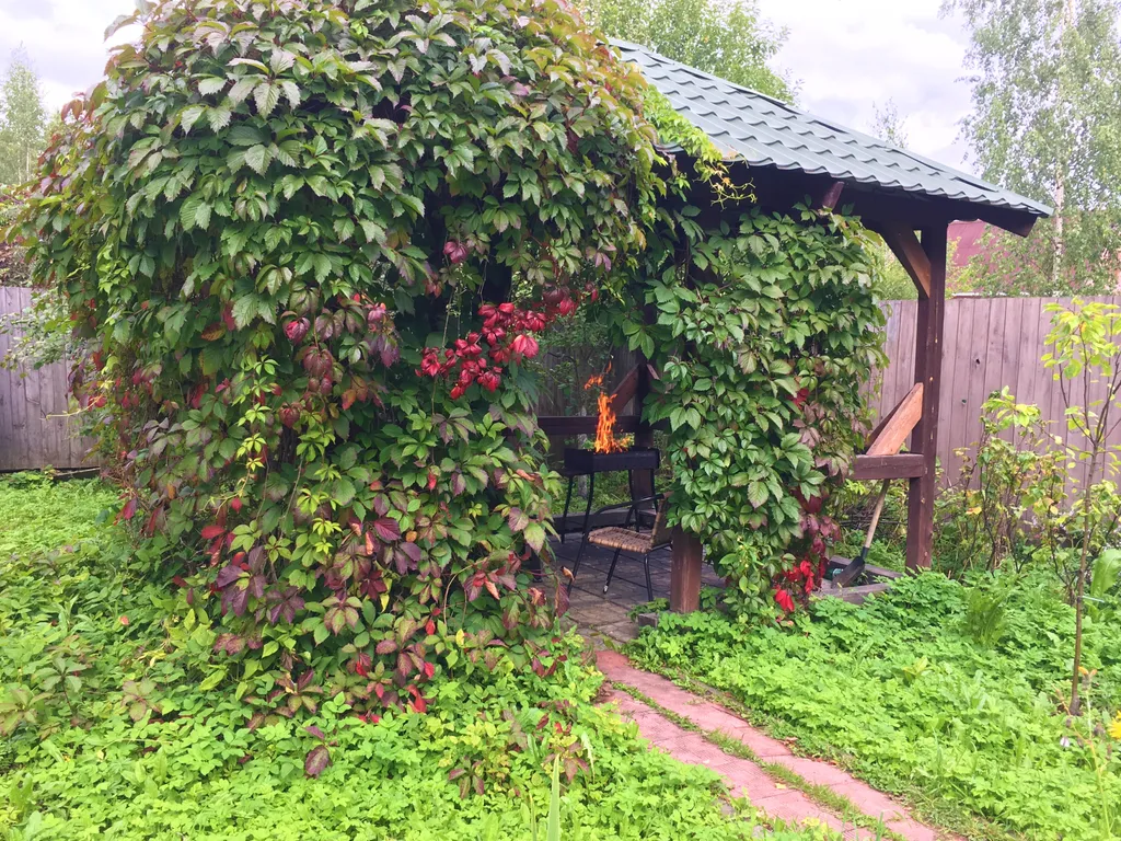 Тёплый коттедж в лесу