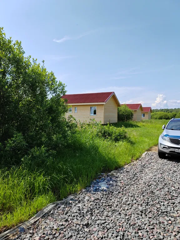 Коттедж Дом с видом на лес база Карловка — Чудово