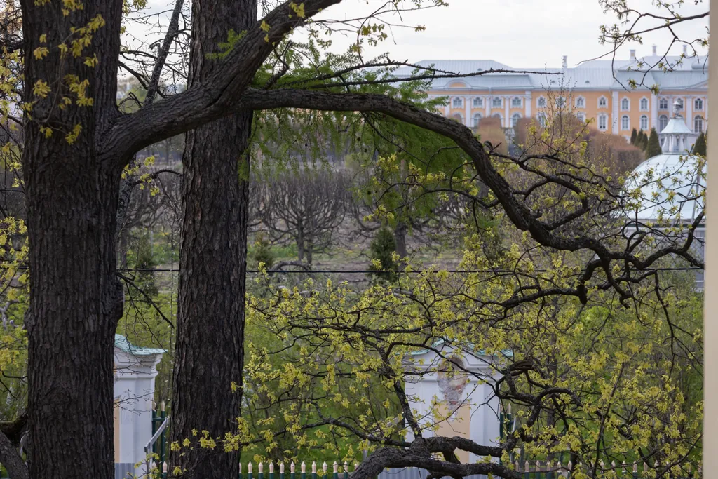 Северная Венеция