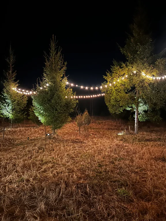 Загородный дом Эдем