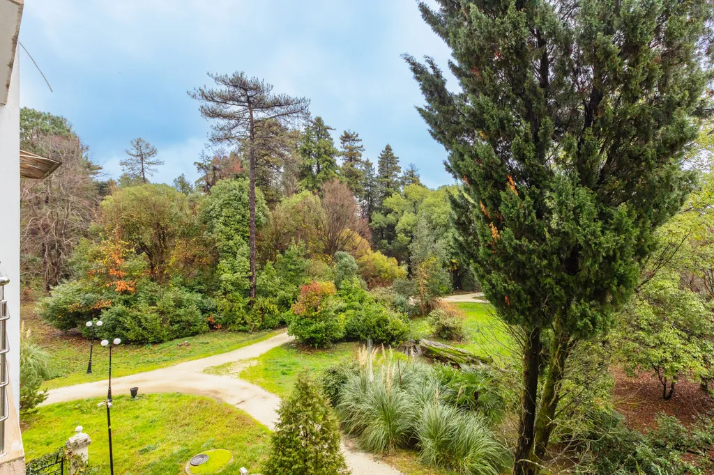 Квартира Квартира в 600 метрах от моря — Сириус